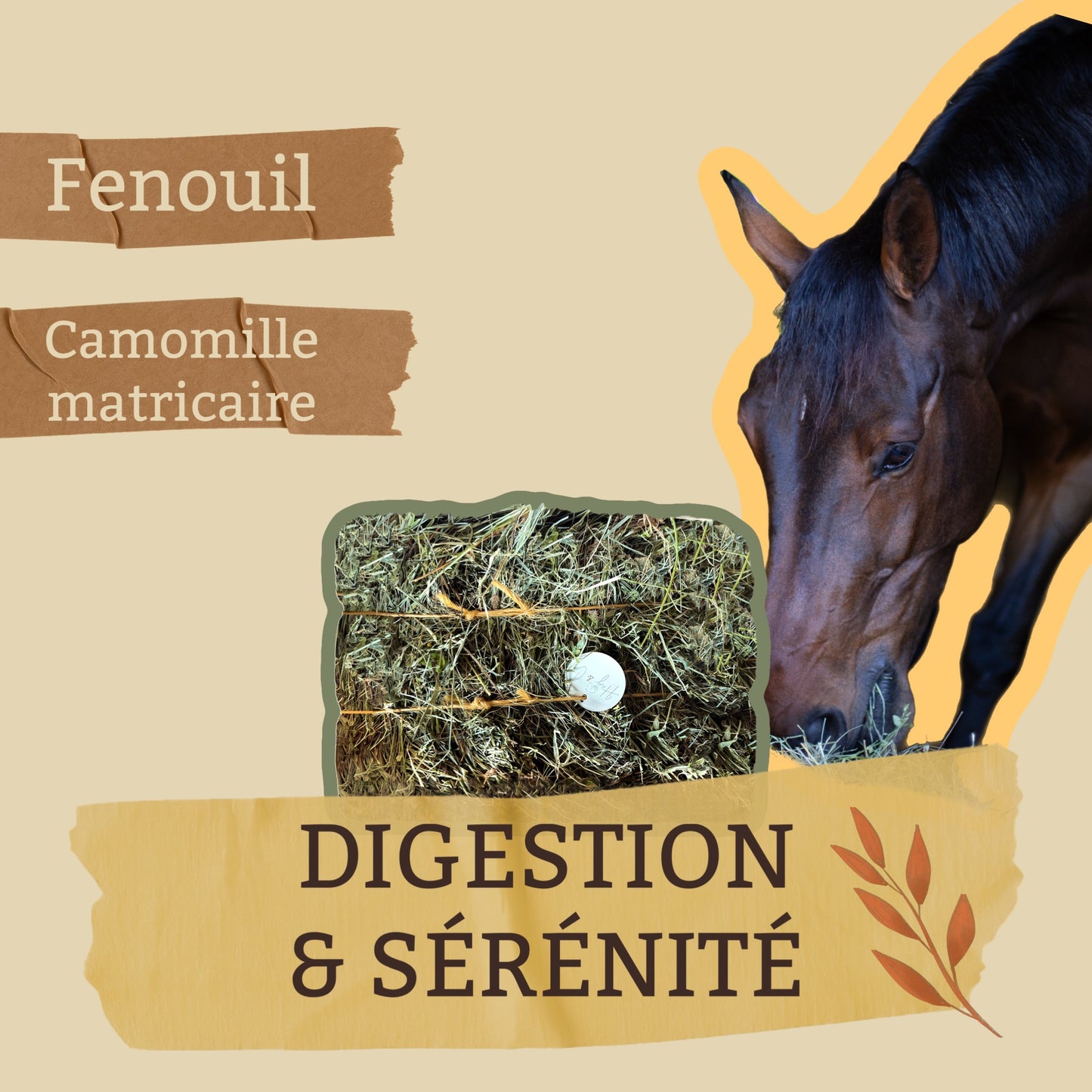 🌿 Digestion Sérénité