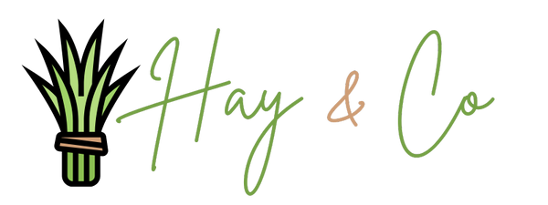 Hay & Co