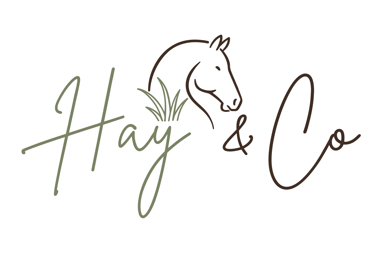 Hay & Co