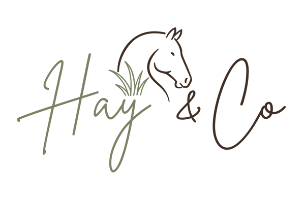 Hay & Co
