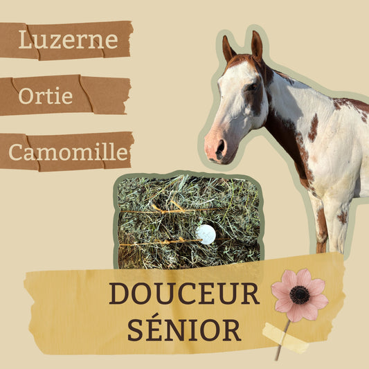 🌼 Douceur Senior