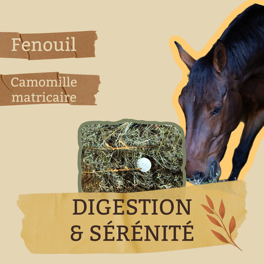 🌿 Digestion Sérénité