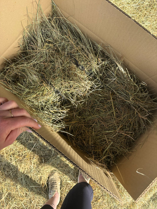 mini botte de foin lapin