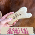 Le Gua Sha des Prairies 🌿